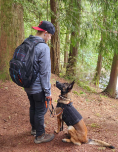 Belgian Malinois Service Dog Trainer Vancouver WA